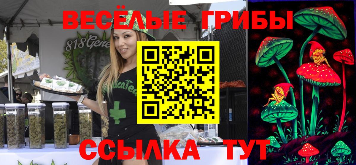 Марихуана  Гашиш  Вход с VPN  A-PVP СОЛЬ кристаллы  COCAIN  Купить наркотики цена  Королёв  COCAIN  Меф МЯУ МЯУ кристаллы  ЭКСТАЗИ 