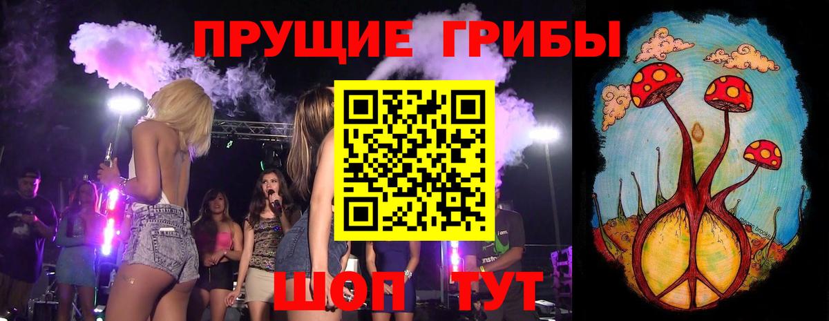 Псилоцибиновые грибы GOLDEN TEACHER  Псилоцибиновые грибы Psilocybe  где можно купить наркотик  Вход с VPN  Королёв 